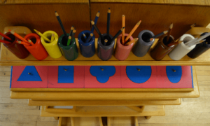 supplies Multicolored pencils in cups in a row